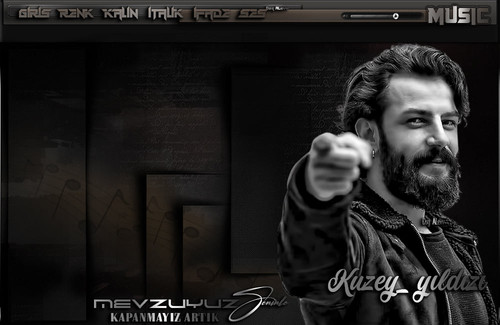 kuzey yıldızı.jpg