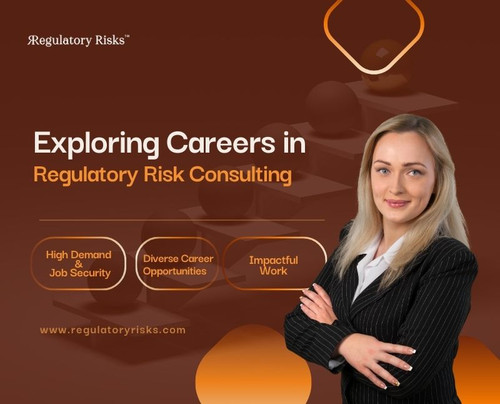 Exploring Careers in Regulatory Risk Consulting.jpg