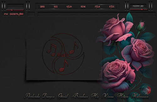 HOSCA KALMASIN.MERMI 38.jpg