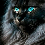 (102)mythische wezens kat