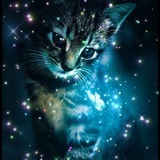 (10)mythische wezens kat