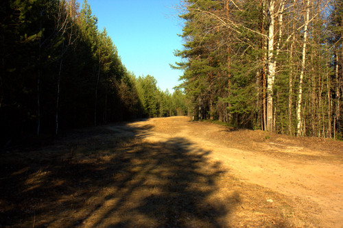 IMG 1562.jpg