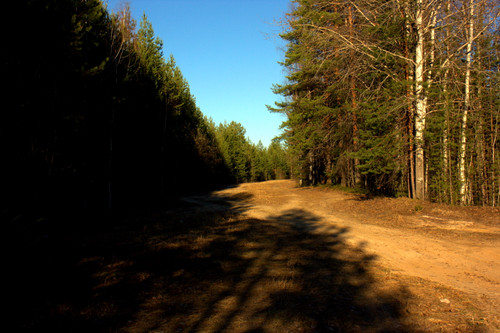 IMG 1565.jpg