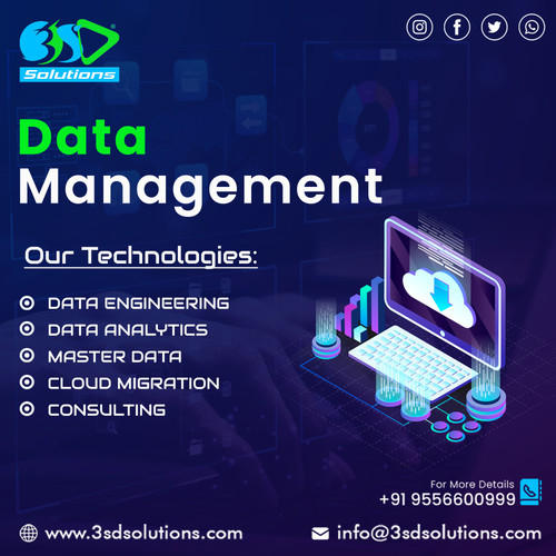 Custom Data Engineering Services in Saudi-Arabia.jpg