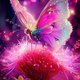 5b5290a8 1c03 431d 91e6 f86613a27265