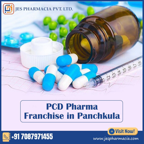 pcd pharma in Panchkula.jpg