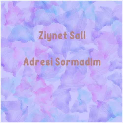 دانلود آهنگ جدید Ziynet Sali به نام Adresi Sormadım