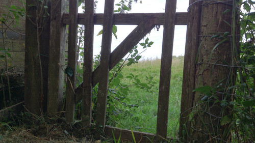 32b5db82 7588 4b22 a747 0e03be13cf6e 1 all 6846.jpg