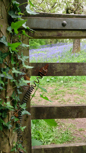 32b5db82 7588 4b22 a747 0e03be13cf6e 1 all 7003.jpg