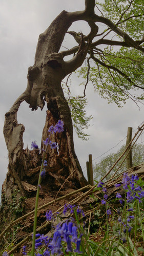 32b5db82 7588 4b22 a747 0e03be13cf6e 1 all 7011.jpg