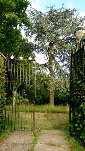 32b5db82 7588 4b22 a747 0e03be13cf6e 1 all 6847.jpg