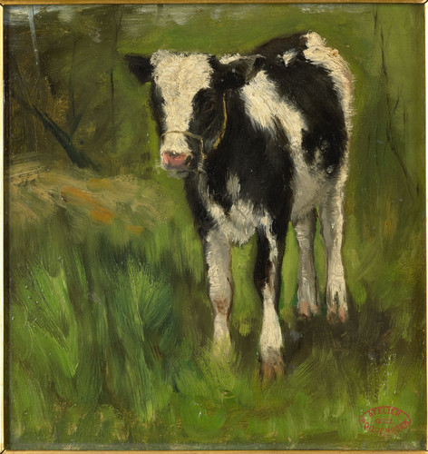 Poggenbeek, Geo Теленок, черно белый, пятнистый, 1903, 22 cm х 21 cm, Картон, масло