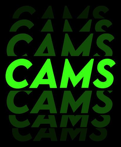 CAMS 5 19 2024.png