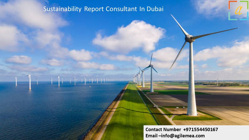 Sustainability Report Consultant In Dubai.jpg