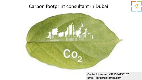 Carbon footprint consultant In Dubai 5.jpg