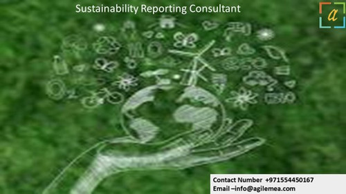 Sustainability Reporting Consultant.jpg