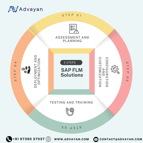 SAP FLM Solutions.jpg