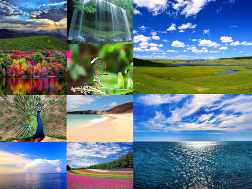 'Glorified is The Mighty Creator'.jpg