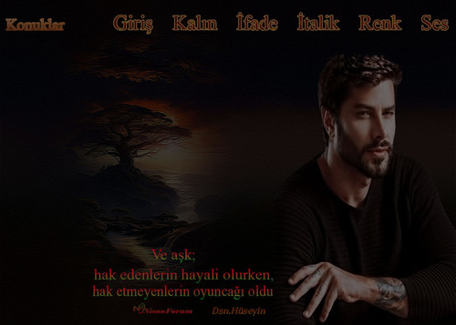 Erkek oyuncak aşk teması.jpg