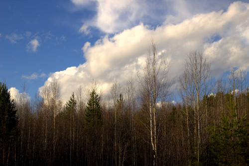 IMG 2077.jpg