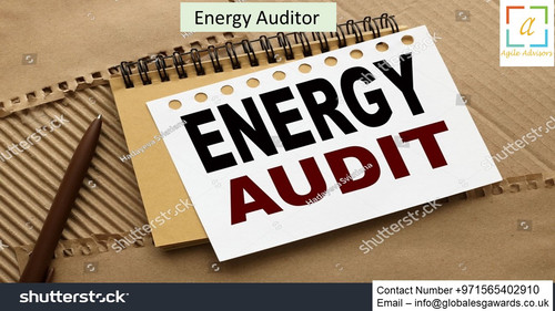 21.5.24 eauditor.jpg