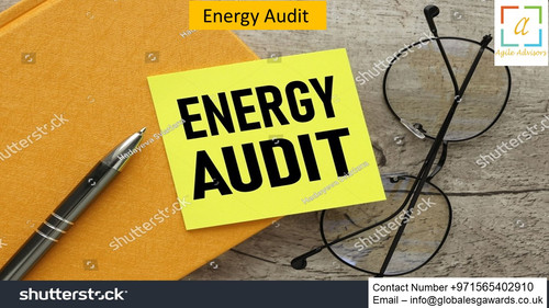 21.5.24 eaudit.jpg