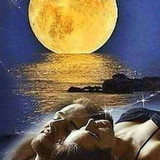 ❤(6) Love and Romance❤