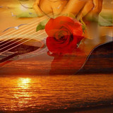 ❤(16) Love and Romance❤