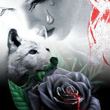 ❤(45) Love and Romance❤