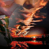❤(71) Love and Romance❤