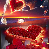 ❤(58) Love and Romance❤