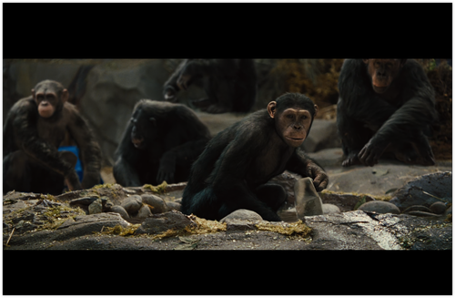 iShot 2024 05 21 11.24.41.png