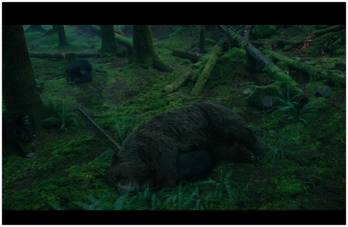 iShot 2024 05 21 11.28.48.png