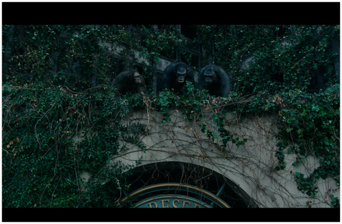 iShot 2024 05 21 11.29.12.png