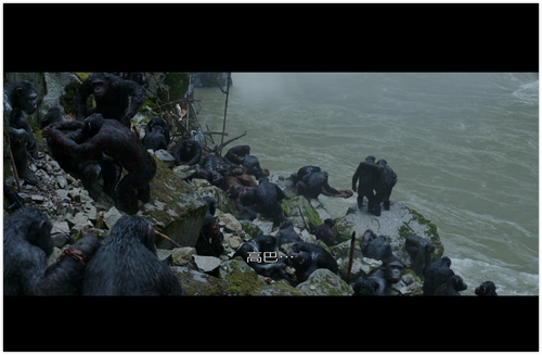 iShot 2024 05 21 11.30.57.png