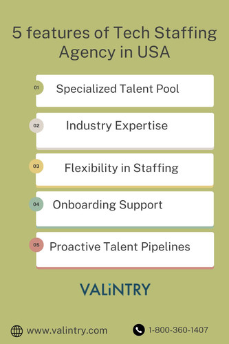 Tech Staffing Agency in USA.jpg