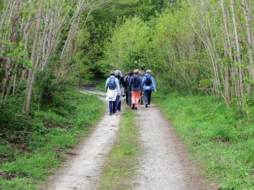 Olivet Marche du Donjon entre bois et vergers 2