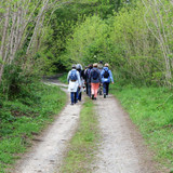 Olivet Marche du Donjon entre bois et vergers 2