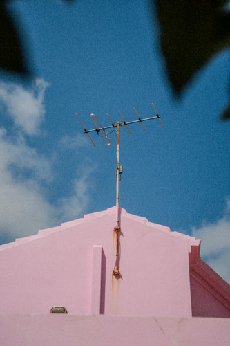 Jet Flamingo 15.jpg