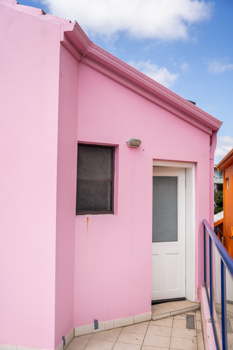 Jet Flamingo 23.jpg