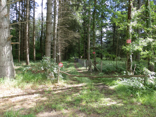 Olivet Marche du Donjon entre bois et vergers 5