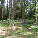 Olivet Marche du Donjon entre bois et vergers 5