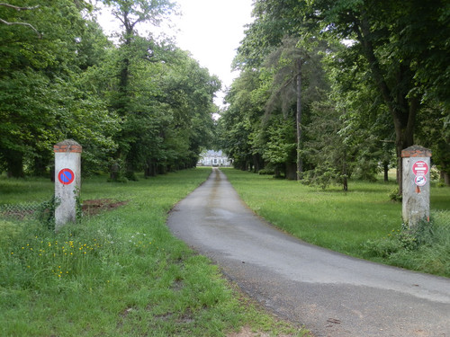 Olivet Marche du Donjon entre bois et vergers 8