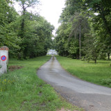 Olivet Marche du Donjon entre bois et vergers 8