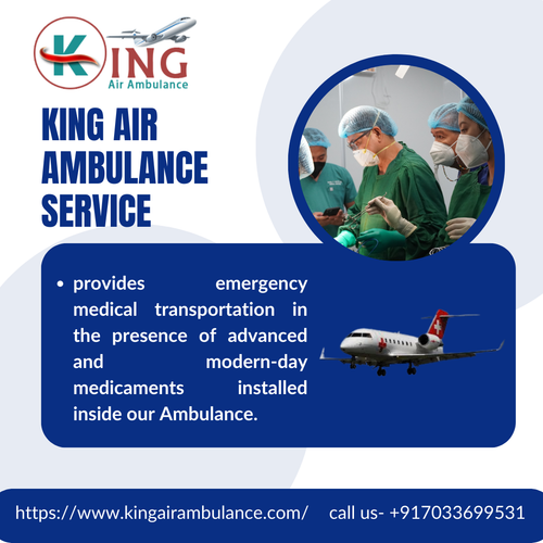 Ventilator King Air Ambulance Service in Bhopal.png