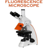 Fluorescence Microscope (1)