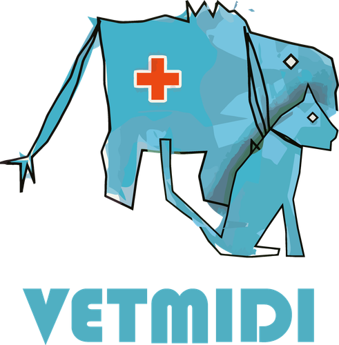 Logo VETMIDI seul.png