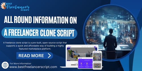all round information on a freelancer clone script.png