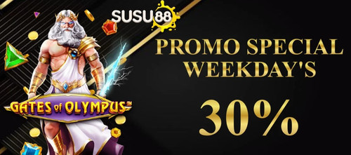 PROMO30 JPEG.jpg