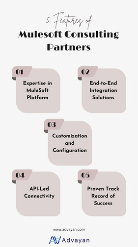 Mulesoft Consulting Partners.jpg